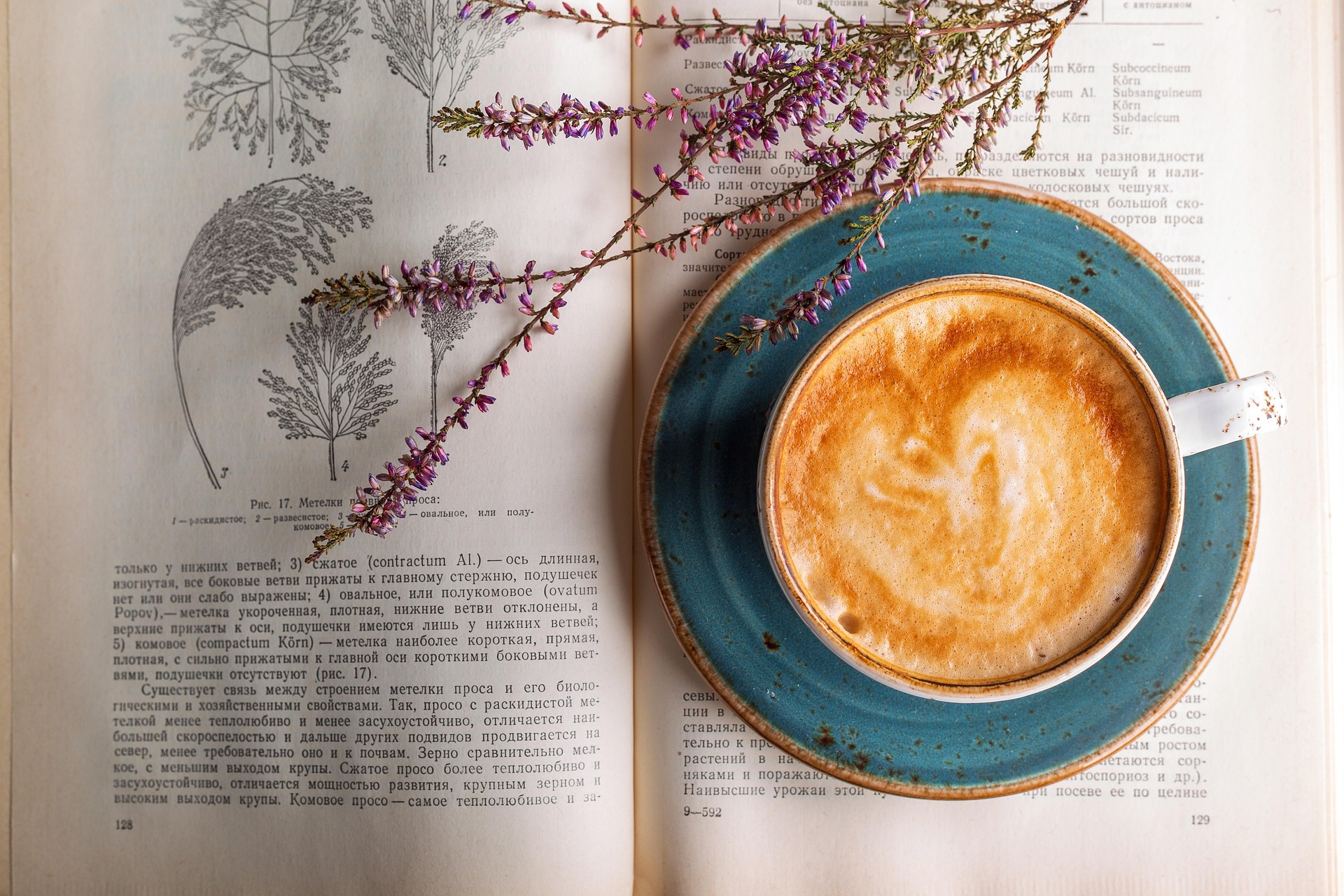 Turn Pages, Heal Hearts